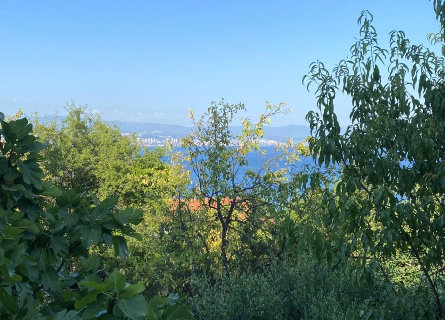 Villa Salyna Ičići